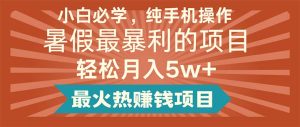 （11583期）小白必学，纯手机操作，暑假最暴利的项目轻松月入5w+最火热赚钱项目-聊项目