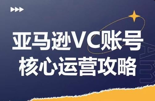 亚马逊VC账号核心玩法解析，实战经验拆解产品模块运营技巧，提升店铺GMV，有效提升运营利润-聊项目