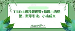TikTok短视频运营+跨境小店运营，账号引流、小店成交-聊项目