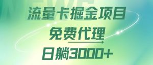 （12321期）流量卡掘金代理，日躺赚3000+，变现暴力，多种推广途径-聊项目