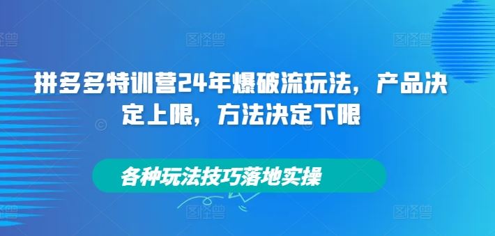 拼多多特训营24年爆破流玩法，产品决定上限，方法决定下限，各种玩法技巧落地实操-聊项目