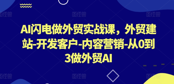 AI闪电做外贸实战课，​外贸建站-开发客户-内容营销-从0到3做外贸AI(更新)-聊项目