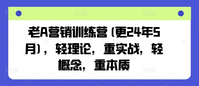 老A营销训练营(更24年9月)，轻理论，重实战，轻概念，重本质-聊项目