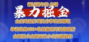 （13675期）2025暴力掘金项目，想过肥年必看！-聊项目