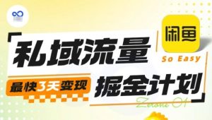 私域流量掘金计划实战训练营，最快3天变现-聊项目
