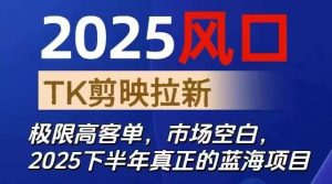 2025风口TK剪映capcut拉新项目，极限高客单，市场空白，2025下半年真正的蓝海项目-聊项目