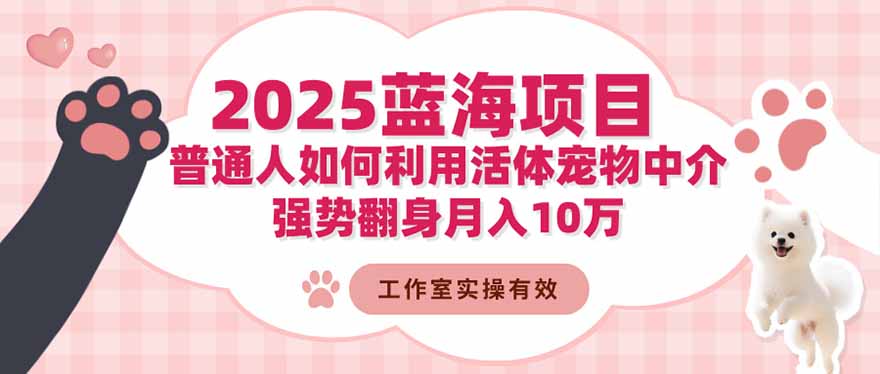 2025蓝海项目：普通人如何利用活体宠物中介，强势翻身月入10万-聊项目