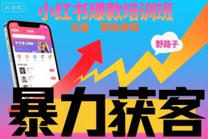 小红书爆款培训班，小红书获客野路子流量打法，暴力持续获客-聊项目
