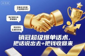 销冠超级爆单话术,把话说出去+把钱收回来-聊项目