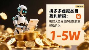 拼多多虚拟类目盈利新招：机器人全程包办回复发货，轻松月入 1-5W-聊项目