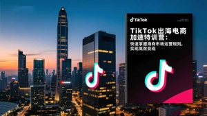 TikTok出海电商加速特训营：快速掌握海外市场运营规则，实现高效变现-聊项目