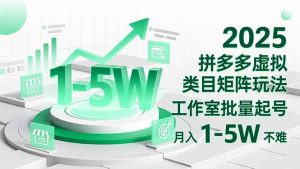 2025 拼多多虚拟类目矩阵玩法,工作室批量起号,月入 1-5W 不难-聊项目