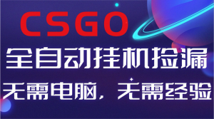 【副业好项目】全球火爆游戏CSGO自动捡漏，新手小白日入500+-聊项目