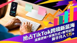 抢占TikTok跨境新蓝海：流量逻辑+变现方式+账号运营，新手月入1万+-聊项目