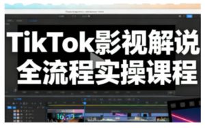 TikTok影视解说全流程实操，手把手教你打造TK爆款解说视频-聊项目