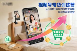 视频号带货训练营,从0到1打造你的带货变现路,低成本在家创业-聊项目