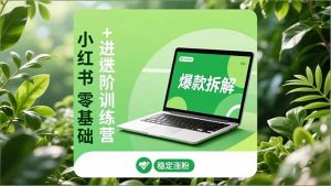 小红书零基础+高阶训练营：安全养号、爆款拆解、长效运营，实现稳定涨粉与变现-聊项目
