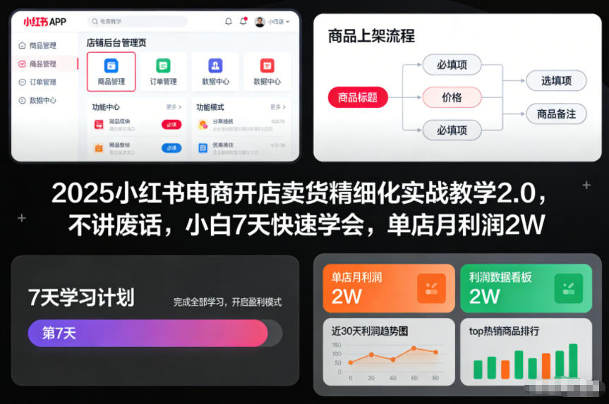 2025小红书电商开店卖货精细化实战教学2.0，不讲废话，小白7天快速学会，单店月利润2W-聊项目