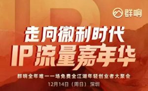 2025ip嘉年华万人12月14深圳线下课，走向微利时代，IP流量嘉年华，实操性极强的商业干货课-聊项目