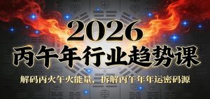 公众号付费文章：2026丙午年行业趋势课：解码丙火午火能量，拆解丙午年年运密码源-聊项目