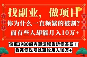 价值3980的网创内部课程，告诉你互联网创业月入10个W的秘密【揭秘】-聊项目