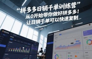 拼多多日销千单训练营,从0开始带你做好拼多多,让日销千单可以快速复制(更新26年1月)-聊项目