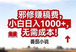 番茄小说赚稿费邪修玩法无需成本,真实日入1000+,超级简单!-聊项目