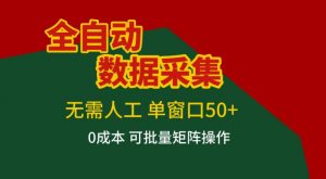 全自动数据采集,无需人工,单窗口50+,0成本可批量矩阵操作【揭秘】-聊项目