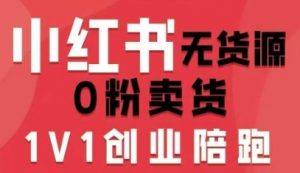 小红书无货源0粉电商课，开店准备、选品策略、笔记撰写、视频剪辑、数据分析、账号打造、资料文档(更新26年1月)-聊项目