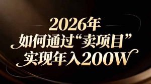 站在2026年的十字路口:一个普通人如何通过卖项目实现年入200万-聊项目