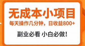 无成本小项目 每天操作几分钟,真实日收益800+ 副业必看 小白必做!-聊项目