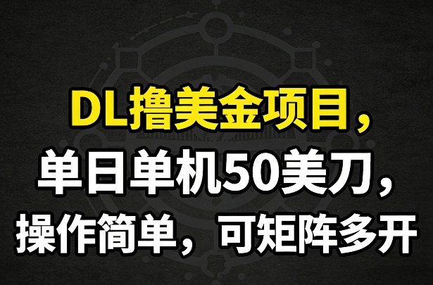 DL撸美金项目，单日单机50美刀，操作简单，可矩阵多开-聊项目