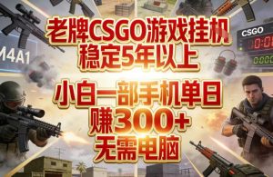 老牌CSGO游戏挂G,稳定5年以上,小白一部手机单日賺3张+,无需电脑【揭秘】-聊项目