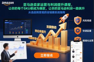 亚马逊卖家运营与利润提升课程，让你的每个SKU都成为爆款，让你的亚马逊利润一路飙升(更新26年3月)-聊项目