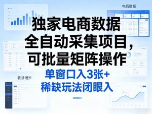 独家电商数据全自动采集项目，可批量矩阵操作，单窗口日入3张+，稀缺玩法闭眼入【揭秘】-聊项目
