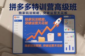 拼多多特训营高阶班，独家玩法赋能，突破运营天花板(更新26年3月19日)-聊项目