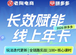 拼多多线上SVIP线上年卡，从认知到基础、从推广到活动、从活动到玩法，全链路实战(26年4月6日更新)-聊项目