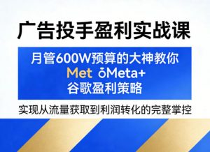 广告投手盈利实战课,月管600W预算的大神教你Meta+谷歌盈利策略,实现从流量获取到利润转化的完整掌控-聊项目