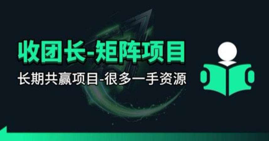 【团长合作】视频矩阵项目_招发手矩阵+剪辑师，共赢项目【揭秘】-聊项目