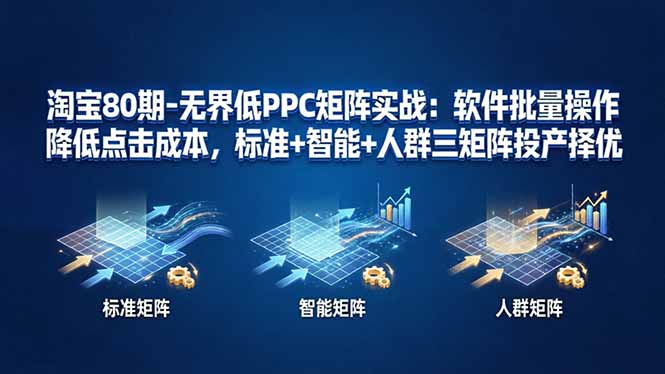 淘宝80期-无界低PPC矩阵实战：软件批量操作降低点击成本，标准+智能+人群三矩阵投产择优-聊项目