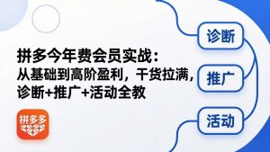 拼多多年费会员实战(更新26年4月30-聊项目