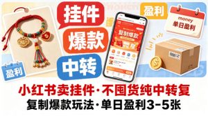 小红书卖挂件，不囤货纯中转复制爆款玩法，单日盈利3-5张-聊项目