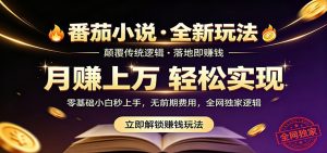 番茄小说5月最新独家玩法，稳定落地实测月入过万！-聊项目