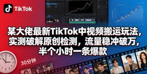 某大佬最新TikTok中视频搬运玩法,实测破解原创检测,流量稳冲破万,半个小时一条爆款-聊项目