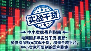 电商圈多年实战干货-更新5月20:多位资深师兄实战干货/覆盖全域平台,中小卖家可复制的盈利指南-聊项目