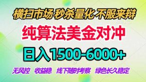 2026美金掘金新风口-纯算法对冲震撼上线!日入1500-6000+,长久合规稳健,轻松摆脱死工资,…-聊项目