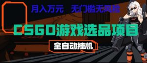 CSGO游戏自动扫货项目，全自动运行，月入1W，无风险，长期稳定可以做【揭秘】-聊项目