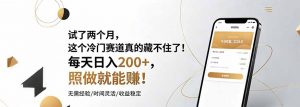 试了两个月,这个冷门赛道真的藏不住了!每天日入200+,照做就能赚!-聊项目