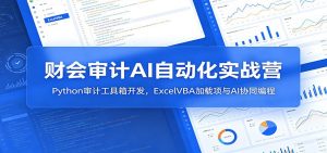 财会审计AI自动化实战营：Python审计工具箱开发，ExcelVBA加载项与AI协同编程-聊项目