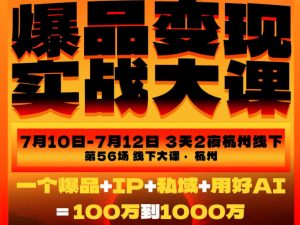 爆品变现实战大课，从爆品，到流量，到成交，一个爆品+IP+私域+用好AI=100W到1000W(7月10-12日)-聊项目